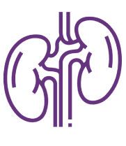 Abnormal kidney structure