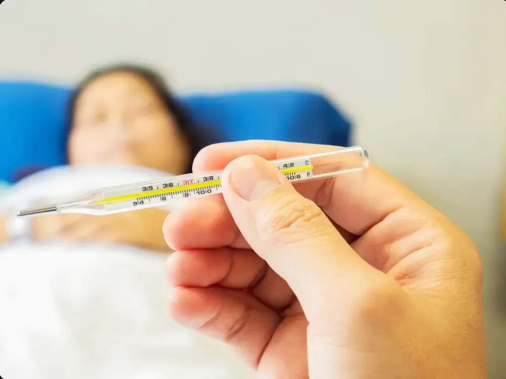 Typhoid Fever Diet Chart: Essential Foods for Quick Recovery