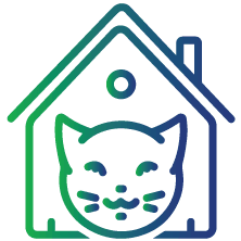 Cats in their house