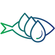Fish oil