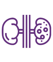 Diagnosing chronic kidney diseases (polycystic kidney disease, glomerulonephritis)