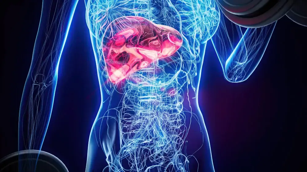 Liver Swelling: Symptoms, Causes & Best Treatment Options