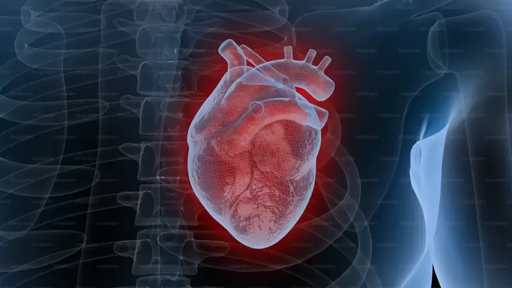 4 Heart-Related Blood Tests for Heart Disease: Assess Your Heart Health