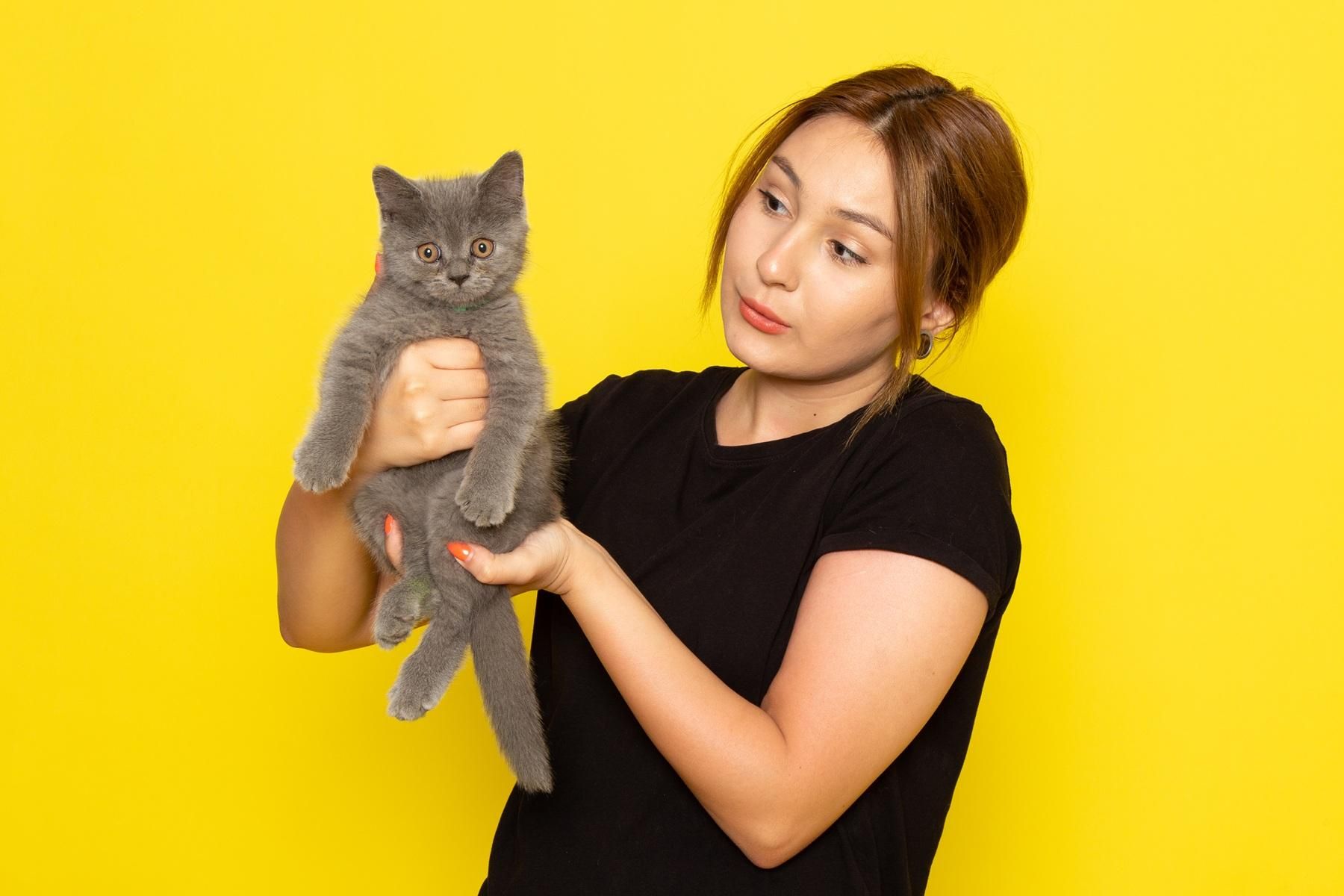 Understanding Cat Dander Allergy Testing Causes And Treatment