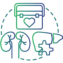 History of organ transplantation