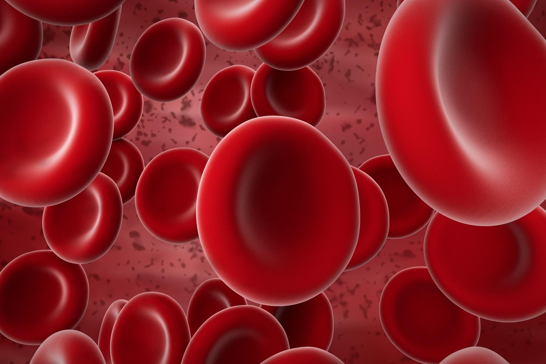 Understanding The Mcv Blood Test What It Reveals About Your Health