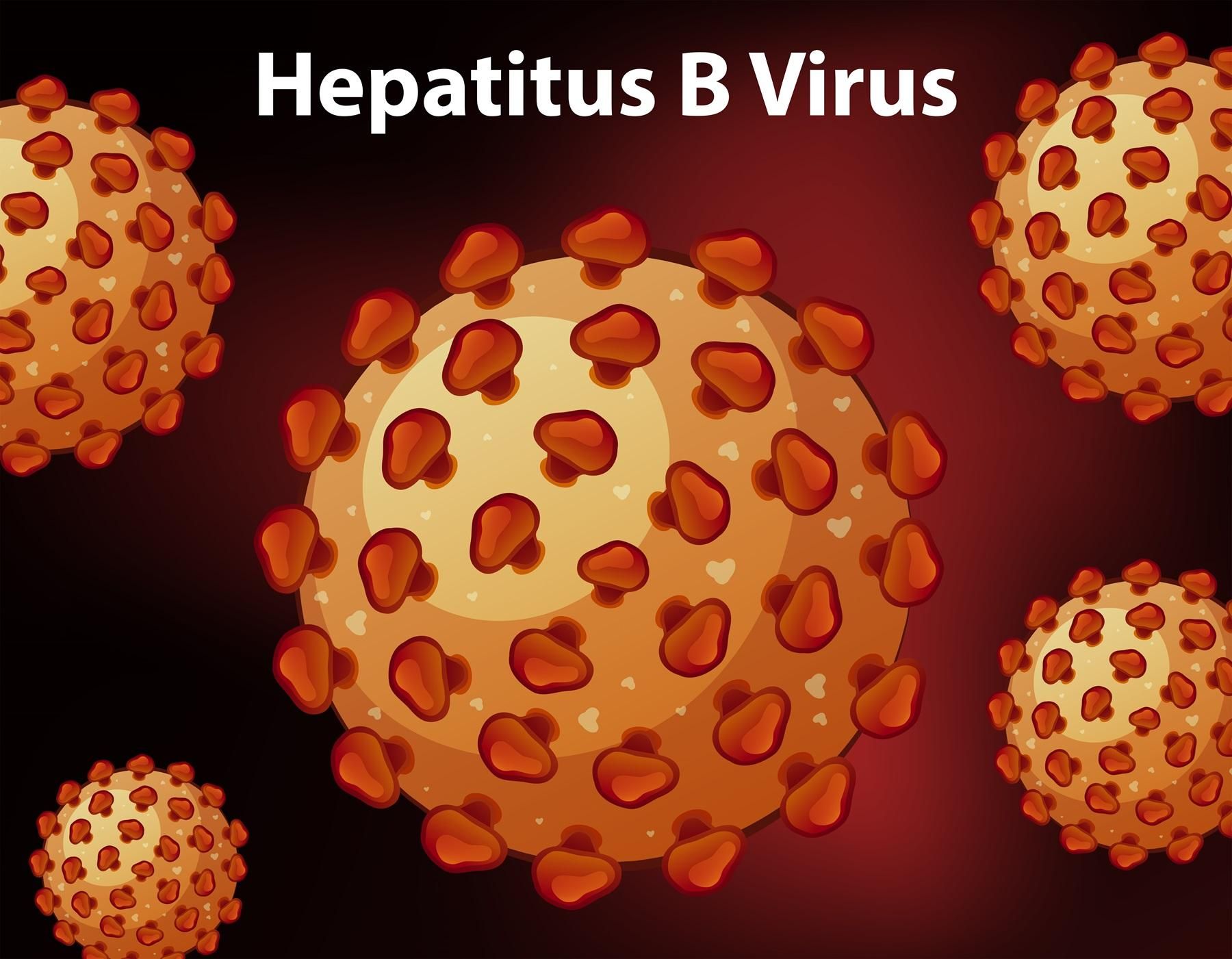 Hepatitis B Virus Causes Symptoms And Diagnosis Procedures