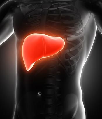 Detection And Treatment Of Hepatitis B Drug Resistance