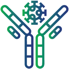 To detect the level of Anti-ds DNA antibodies in blood