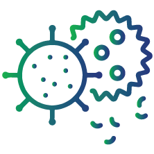 To determine if you have a recent rubella infection