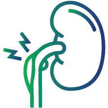 Inflammation- chronic or acute