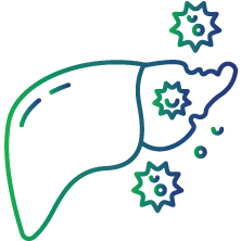 To know if the patient has active (high HBV DNA levels) or inactive (low or undetectable levels of HBV DNA) chronic hepatitis B infection