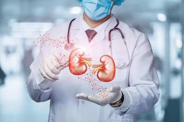 What Is An Extended Renal Function Test Everything You Should Know