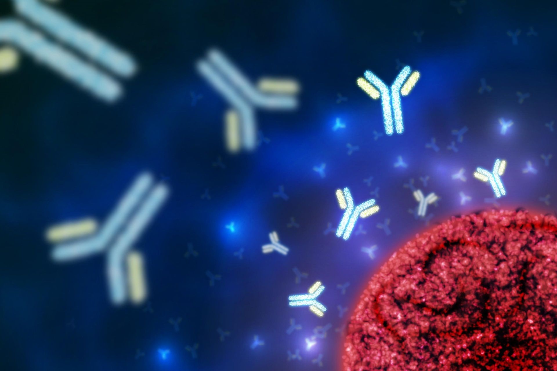 Immunoglobulins And Antibodies Key Insights From The Igm Test