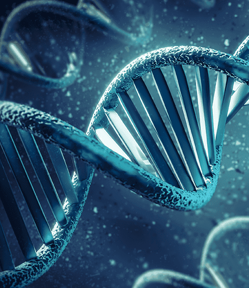 Prenatal Aneuploidy Screening With Triple Marker Test In 2Nd Trimester