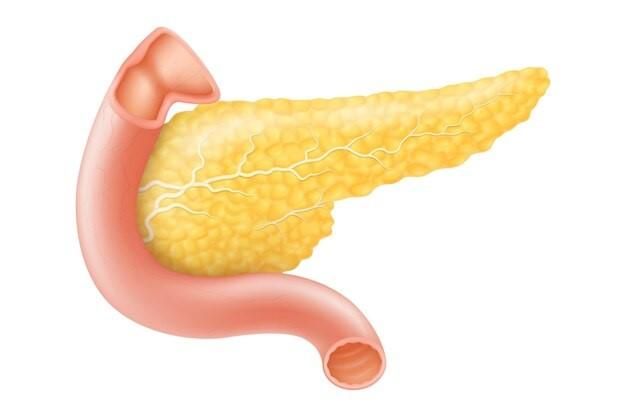 C Peptide Levels What They Indicate About Pancreatic Function
