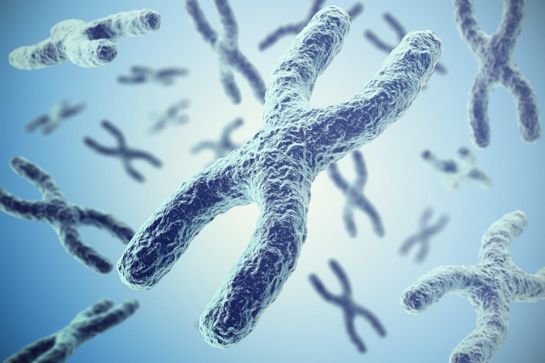 Understanding Karyotyping By G Banding How It Helps In Genetic Diagnosis